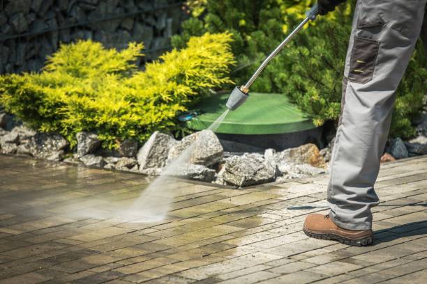 Best Pre-Holiday Cleaning  in Pine Castle, FL