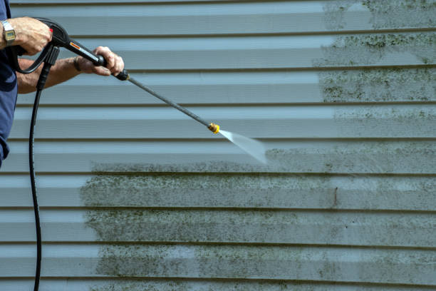 Best Graffiti Removal  in Pine Castle, FL